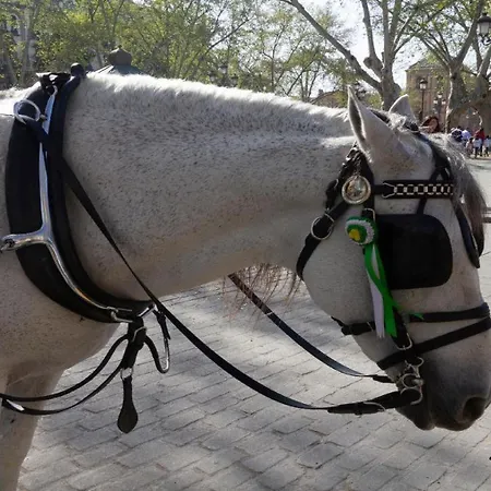 Sherry House Jerez de la Frontera