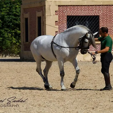 Casa de Férias Sherry House
