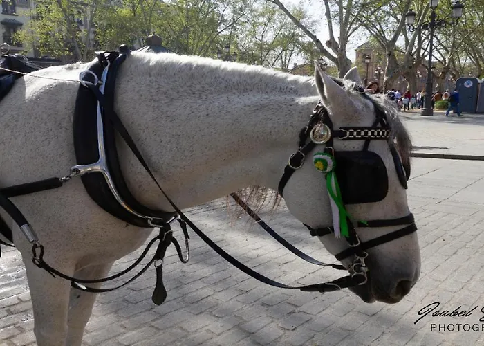 Sherry House Jerez de la Frontera