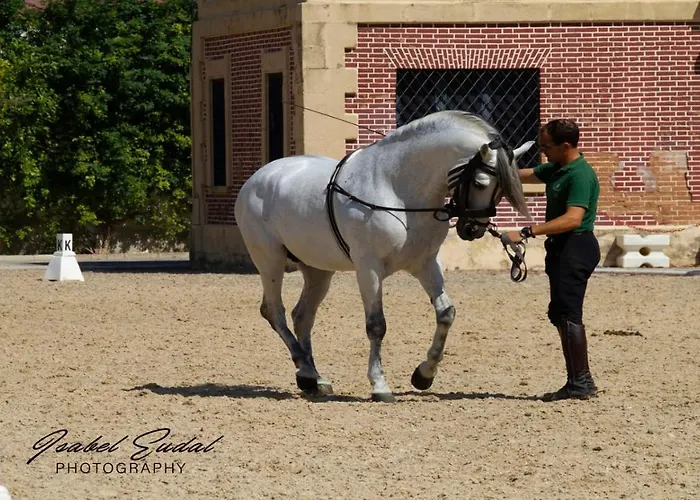 Casa de Férias Sherry House